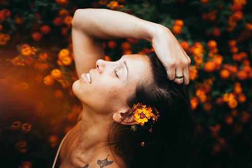 Image by Daniel