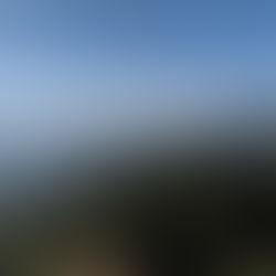 IKEA investe US$ 108 milhões para restaurar florestas da Mata Atlântica e impulsionar remoção de carbono no Brasil