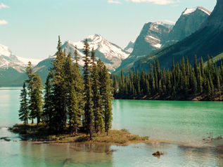Is Alberta the New Delaware? Exploring the Advantages of Incorporating in Alberta
