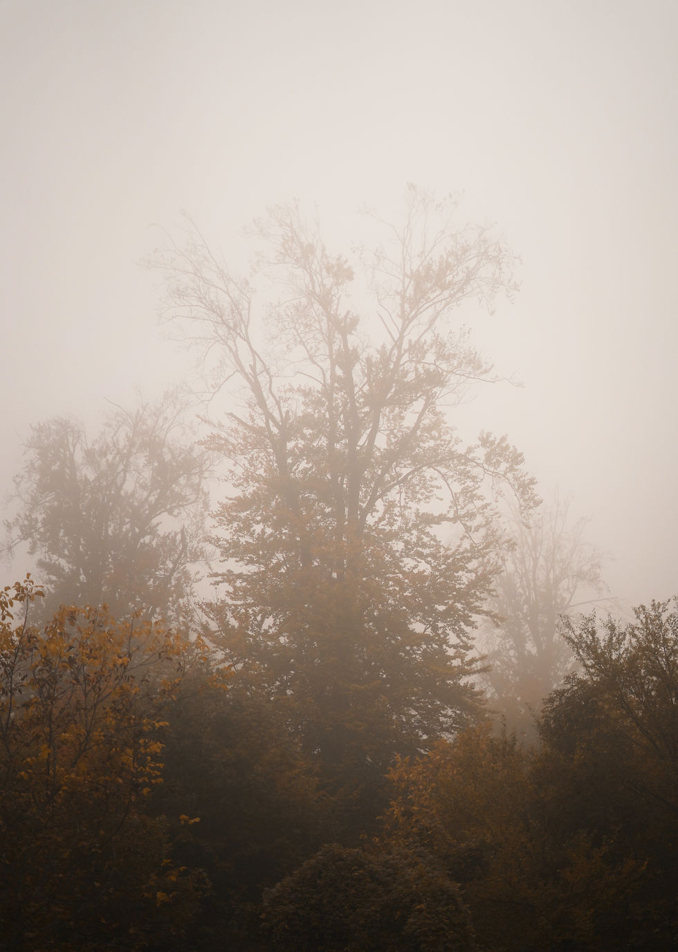 Image by Arthur V.