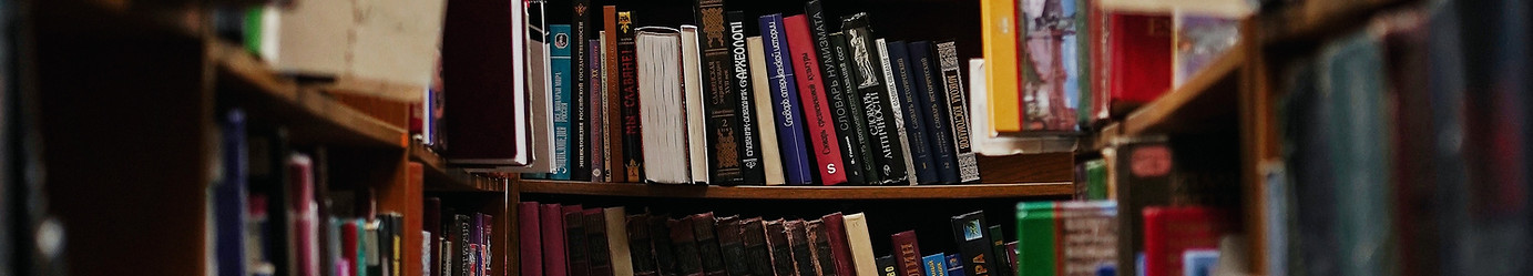 Image by Olena Bohovyk