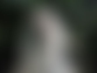 Wedding Planning Checklist: A Month-by-Month Guide