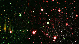 2023年2月6日 耶利米書7-8章「可怕的錯覺」