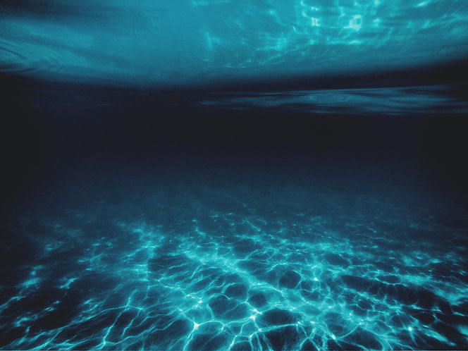 Image by Jonathan Borba