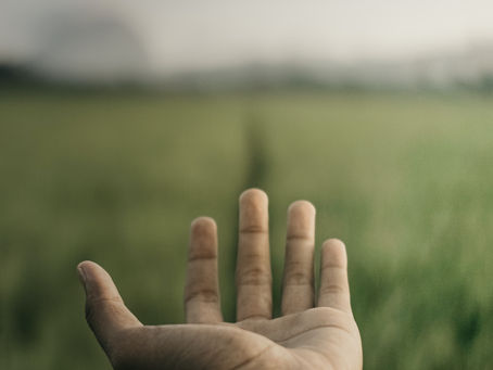 What Is Positive Reinforcement?