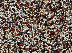 חמש דגנים חשובים ועשירים בויטמינים וחלבון לספורטאים