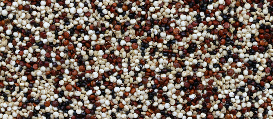 Pourquoi le Quinoa est-il bon pour la santé ?