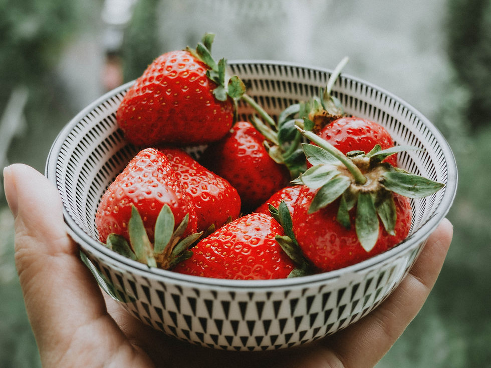 Frisch gewaschene Erdbeeren in einer schwarz-weiß gemusterten Schale – gehalten in einer Hand, vor grünem, natürlichem Hintergrund. Symbolbild für gesunde Ernährung und natürliche Reinigung mit basischem Wasser.