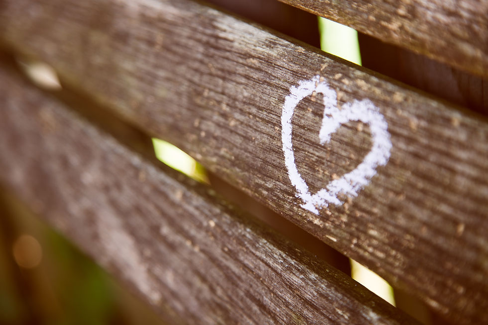 White chalk heart on a weathered wooden bench with sunlit green foliage in the blurred background, creating a warm, rustic feel.