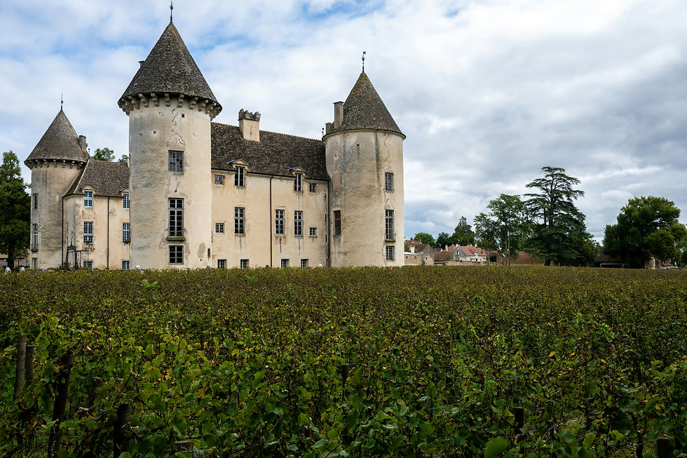 Burgundy château surrounded by its vineyards