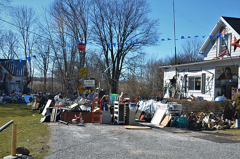 Image by Roger Starnes Sr