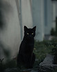 Image de Tolga Ahmetler
