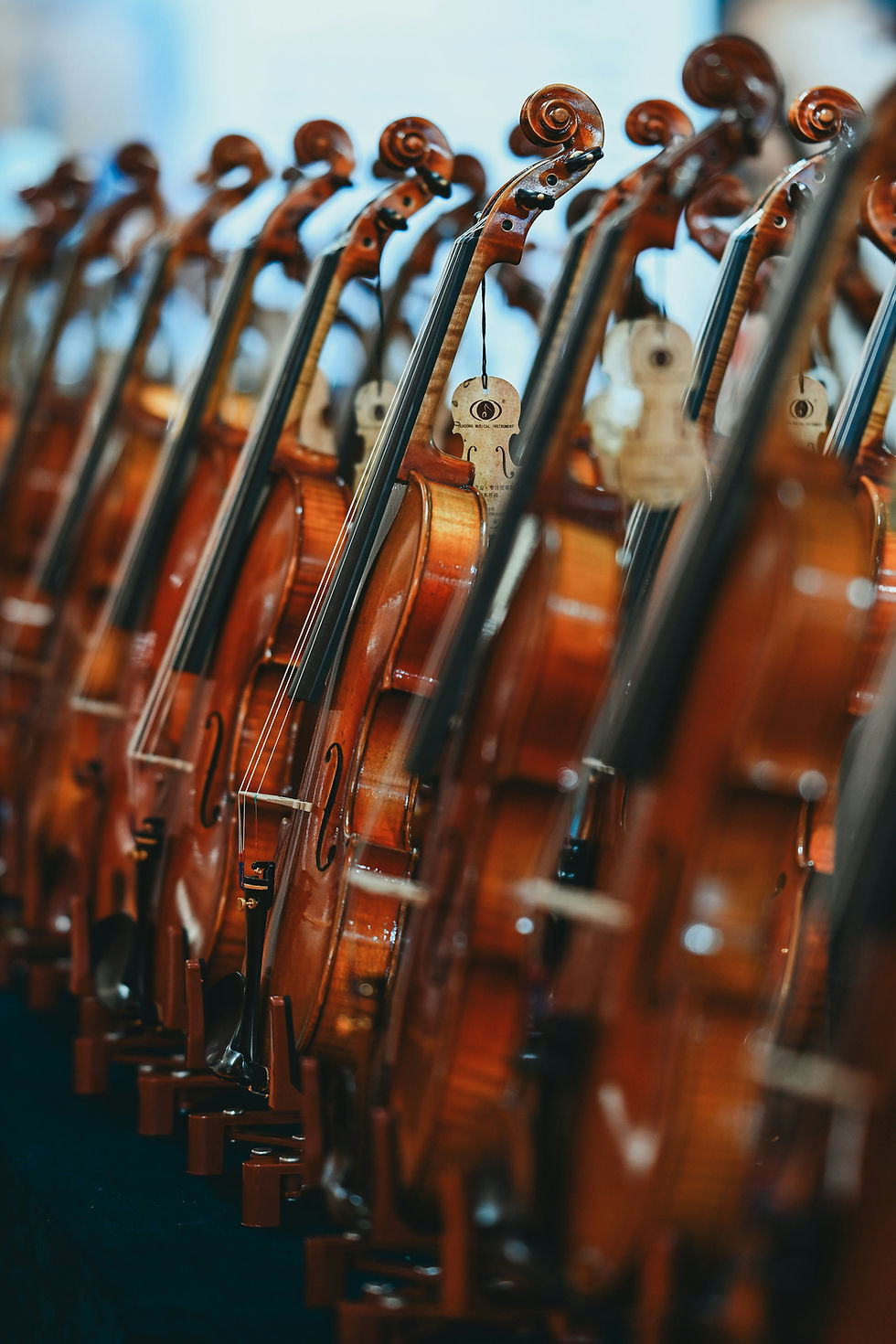 Viola Lessons in Cincinnati: Should You Learn Viola or Violin?