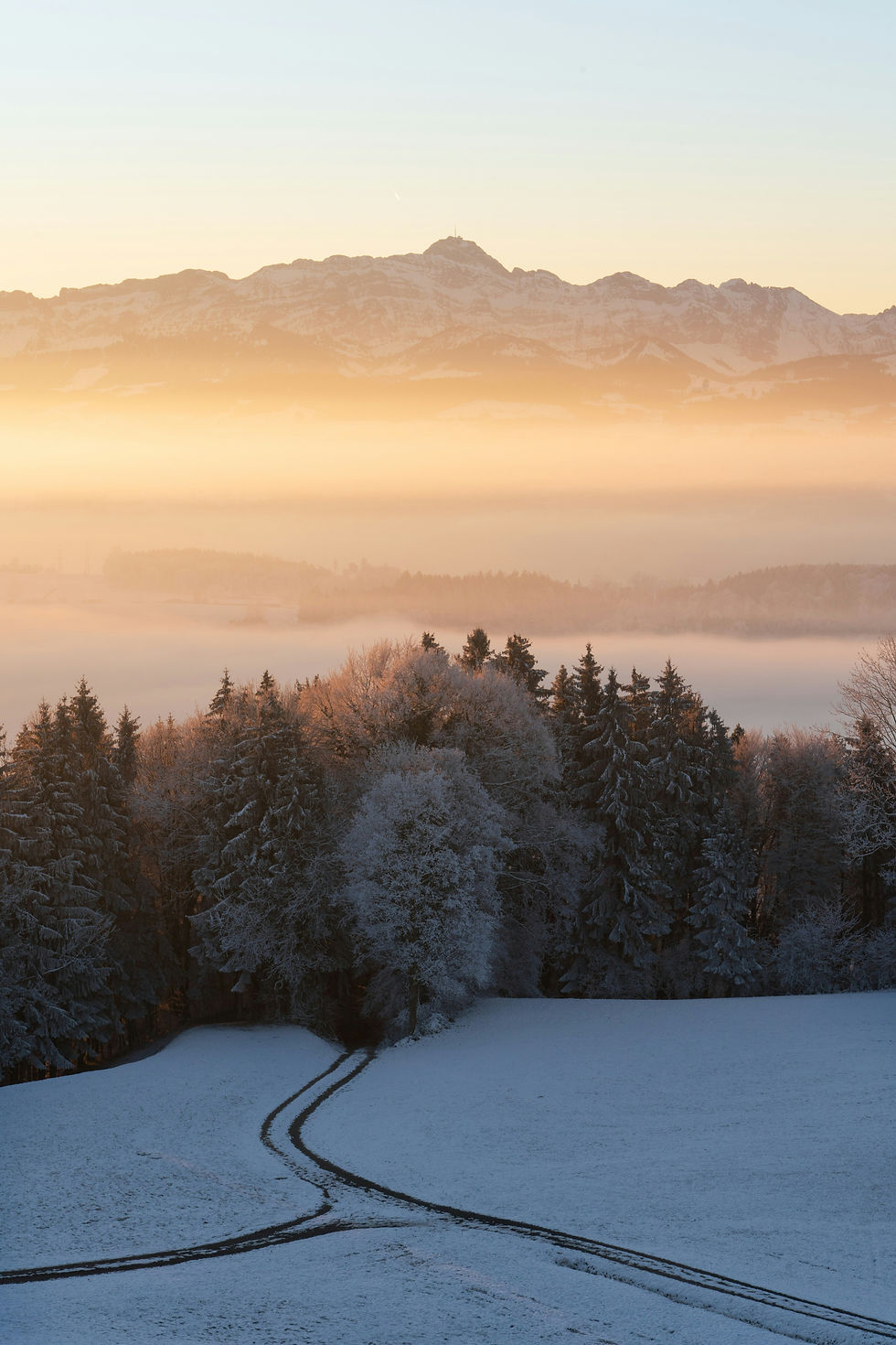 Image by Pascal Debrunner