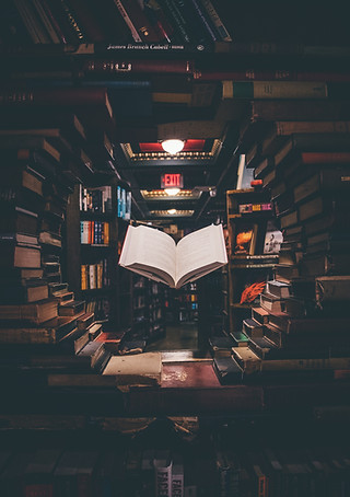 Wiser Study Process