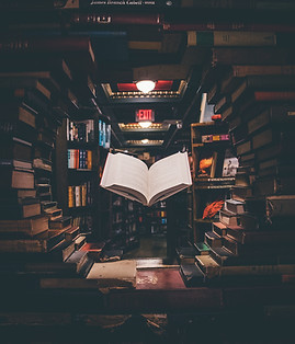 Image by Jaredd Craig
