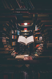 Image by Jaredd Craig