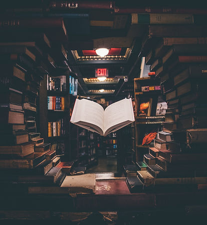 Image by Jaredd Craig