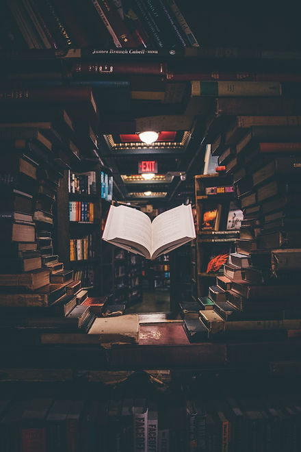 Image by Jaredd Craig