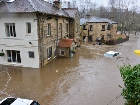 Survival Basics: Natural Disasters