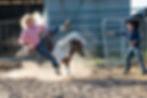 Calves, Cans, and Chaos!!!