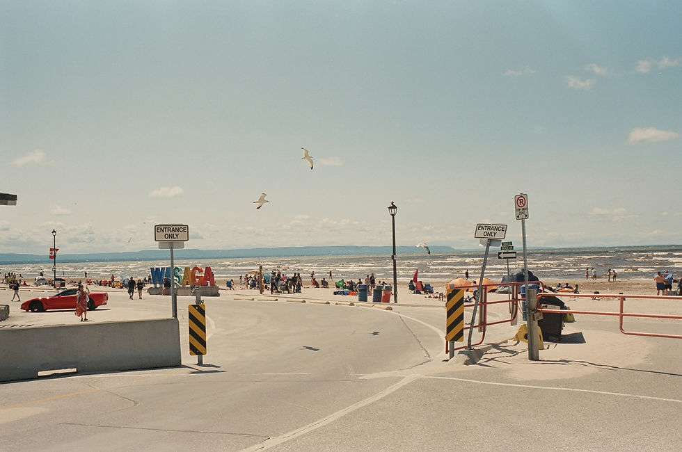 Image by Sichen Xiang