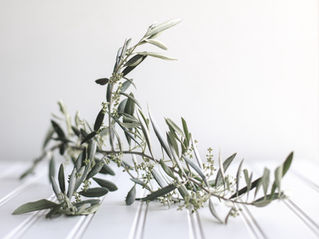 The Mental Thaw: Preparing Your Sanctuary for the Spring Bloom