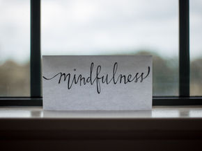 The Body, Brain and Mindfulness