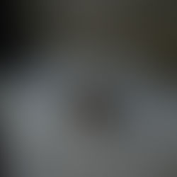 How Much Does an Exterminator Cost for Mice? 🐭 A Homeowner’s Complete Guide