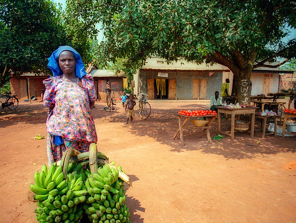 voyage sur mesure en ouganda