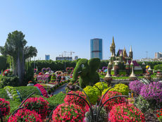 A Floral Escape in the City