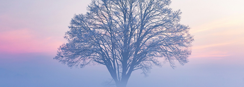 arbol_musica_cristiana