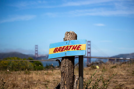 Image by Daniel Chicchon