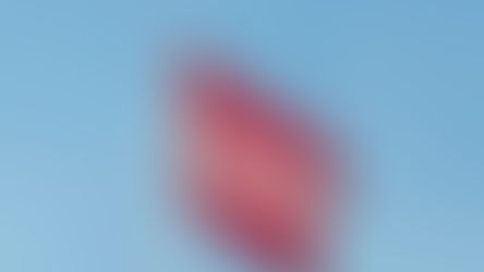 Flag of Austria