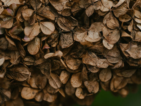 Frailty Awareness 2026: How Physiotherapy Can Help You Stay Strong as You Age