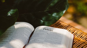 Waiting on the Lord through Psalms