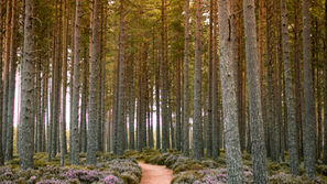 Are You Living In His Way?