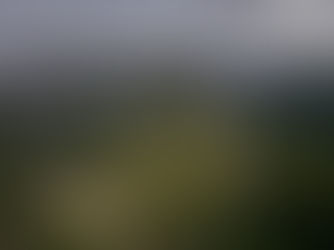 Matese con biker disperso