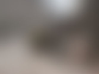 Working Equid Welfare: The Economic Value of Working Horses, Donkeys, and Mules and the Interventions That Help Them