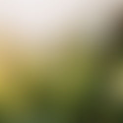 5 Principles of Regenerative Agriculture