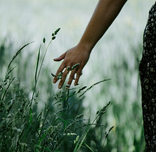 Image by Matt Seymour