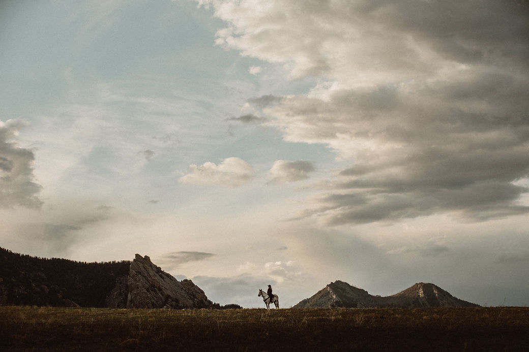 Image by Taylor Brandon