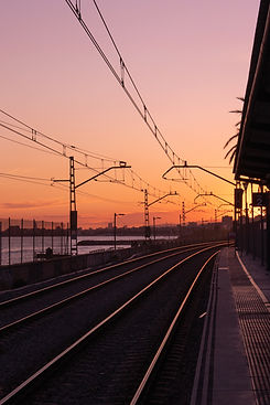 Image by Rodrigo Curi