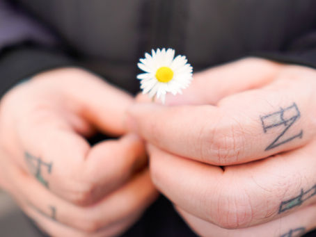 a man's hands holding a tiny flower