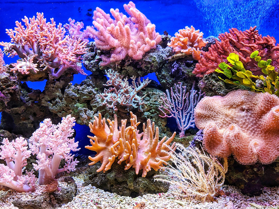 Image by QUI NGUYEN