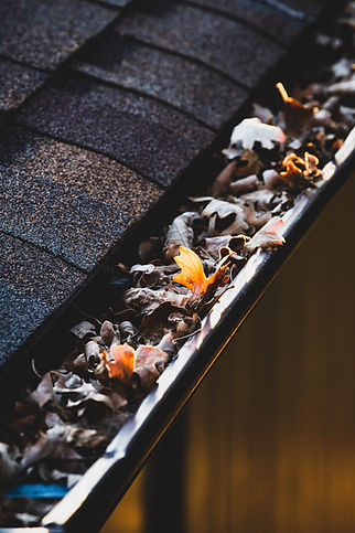 Gutter cleaning services near me