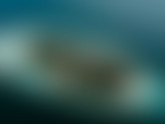 MALDIVES An under water paradise