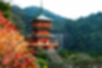 GÜNEY KORE • JAPONYA