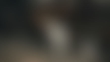 Early FIP Symptoms in Cats | CureFIP™ Official Guide