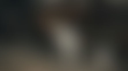 Early FIP Symptoms in Cats | CureFIP™ Official Guide